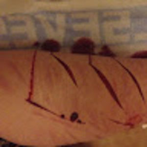 Meet your Posher, Evie